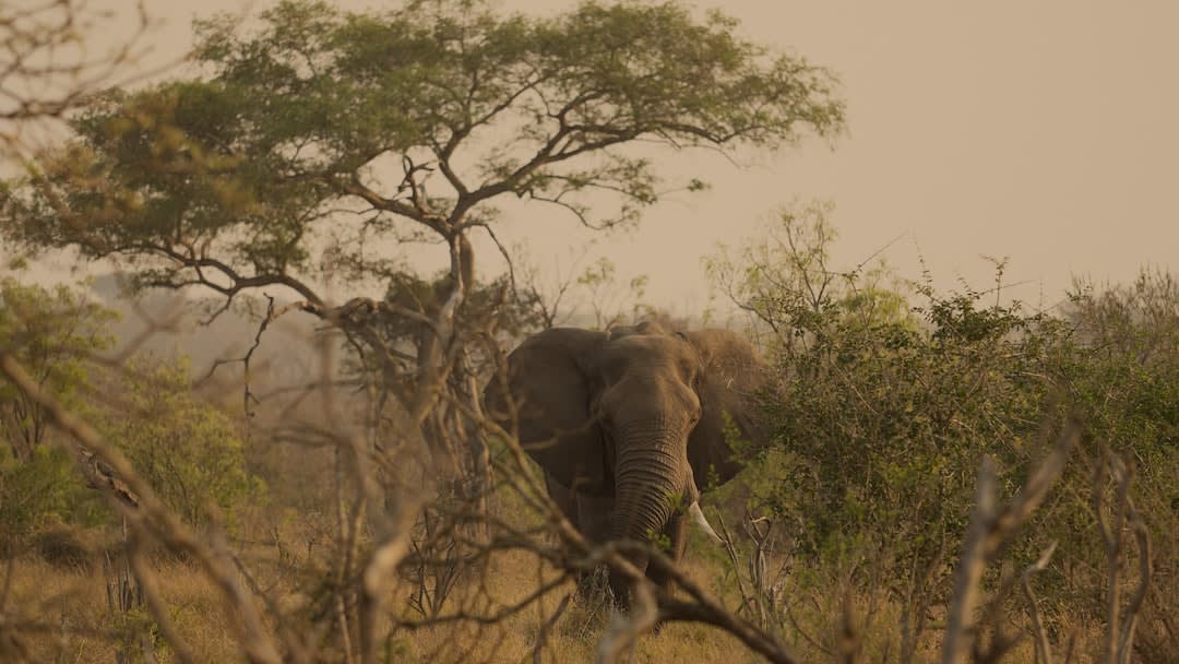 Malolotja Walking Safari Packages 2027: Prices & Booking
