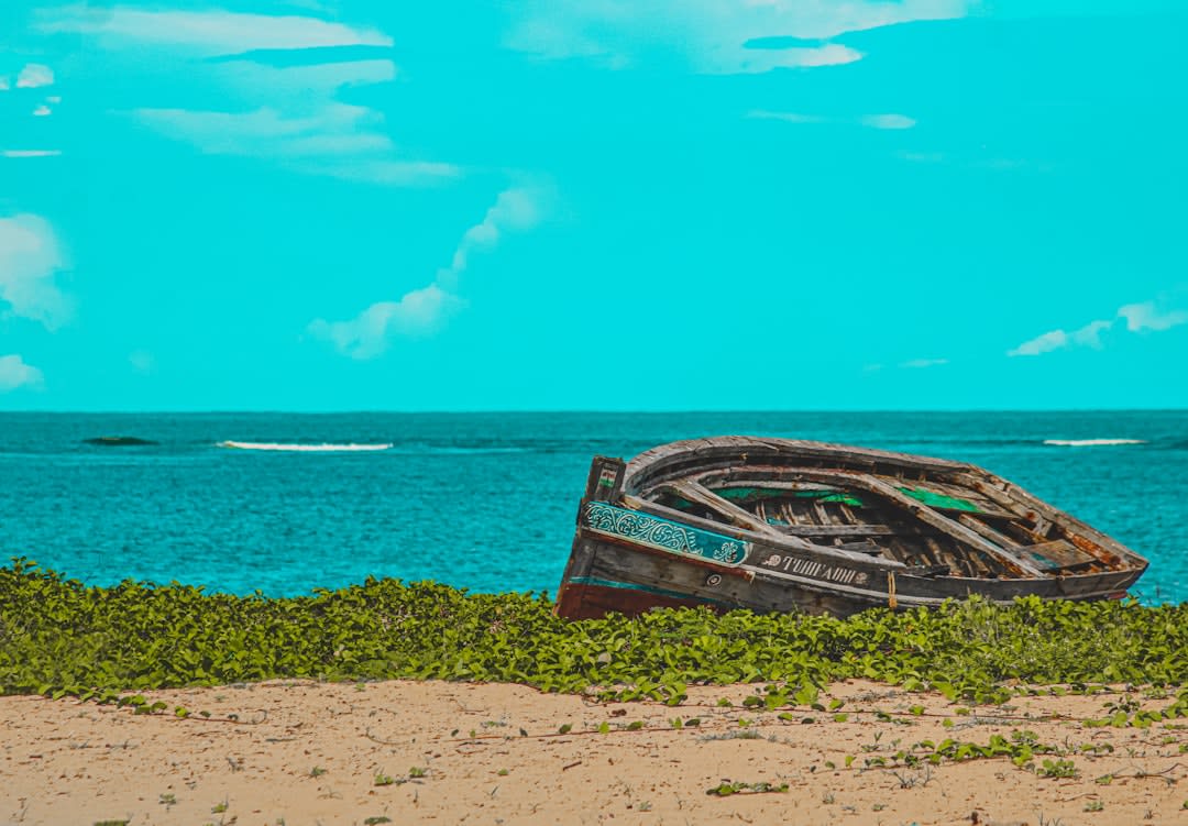 Maasai Mara and Diani Beach Safari Packages 2027 with Prices