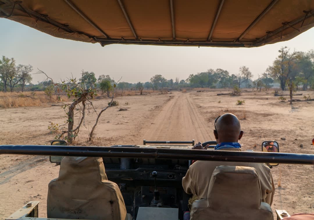 7-Day Luangwa Valley Safari Itinerary 2027: Total Cost
