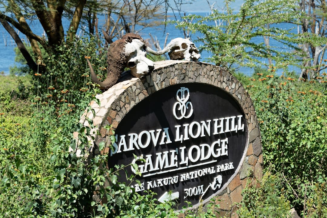 Best Lodges in Amboseli National Park 2027: Rates Compared