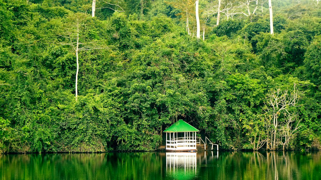 Jozani Forest Tours 2027: Prices, Packages and What to See