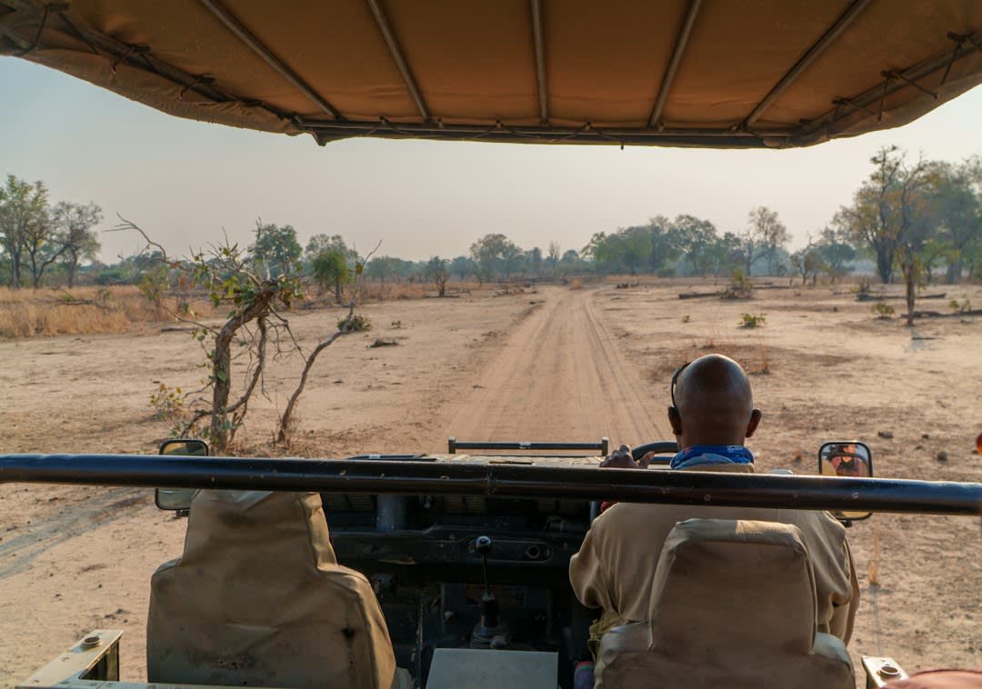 Best Safari Lodges in Zambia 2027: Nightly Rates Compared