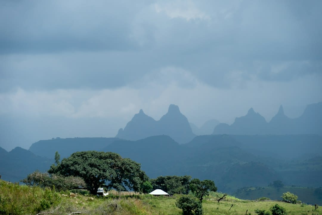 Itinerario de 5 días por las montañas Bale 2027: coste del safari por persona