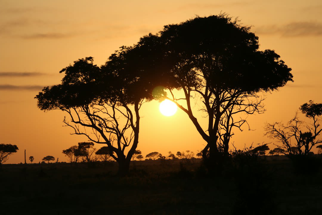 Entebbe-Safari-Pakete 2027: Preise und Tagesausflüge