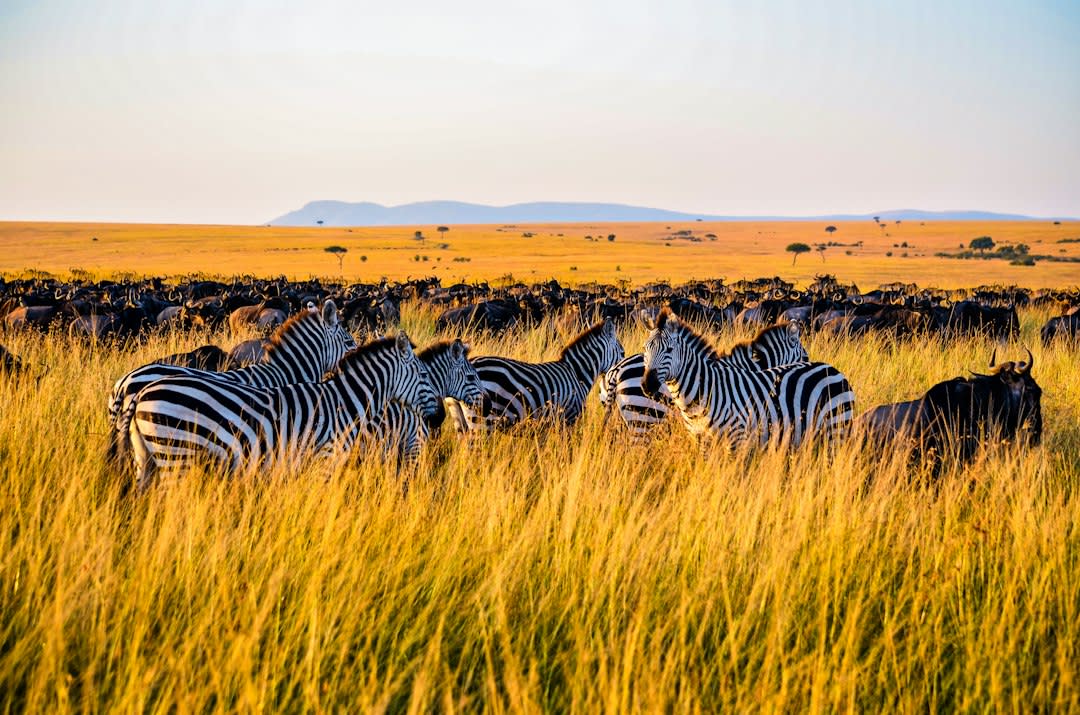 Things to Do in Kisumu 2027: Tours, Safaris and Prices