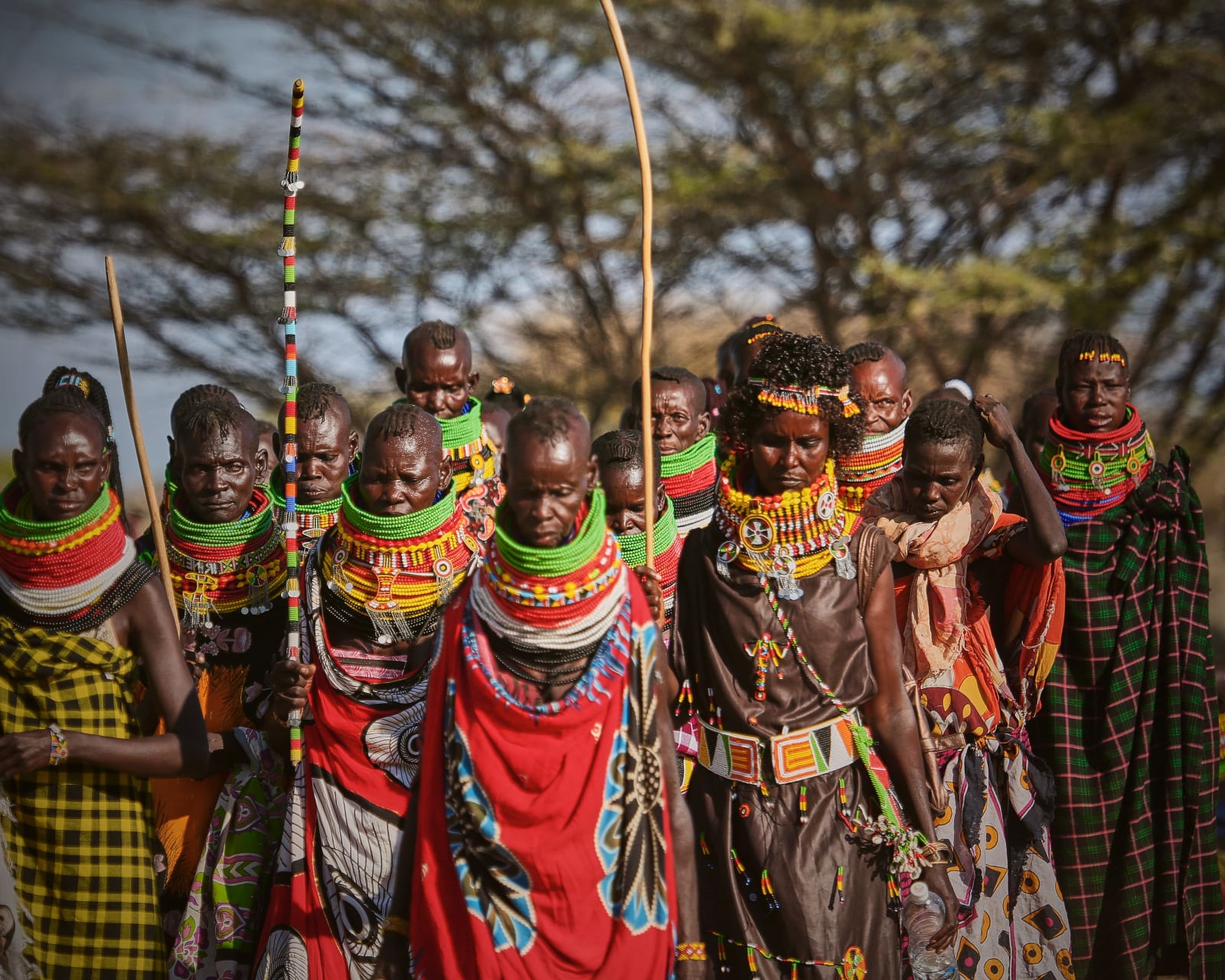 3天Samburu National Reserve私人野生动物探险之旅｜肯尼亚豪华野生动物之旅