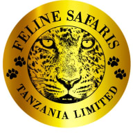 FELINE SAFARIS TANZANIA 