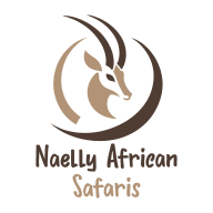 NAELLY AFRICAN SAFARI