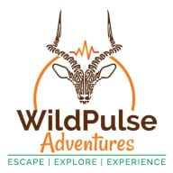WildPulse Adventures