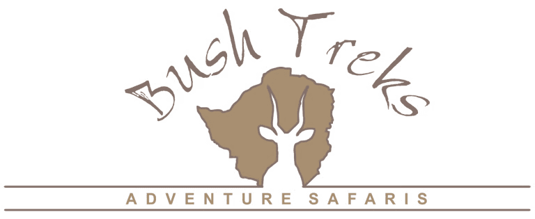 Bush Safaris