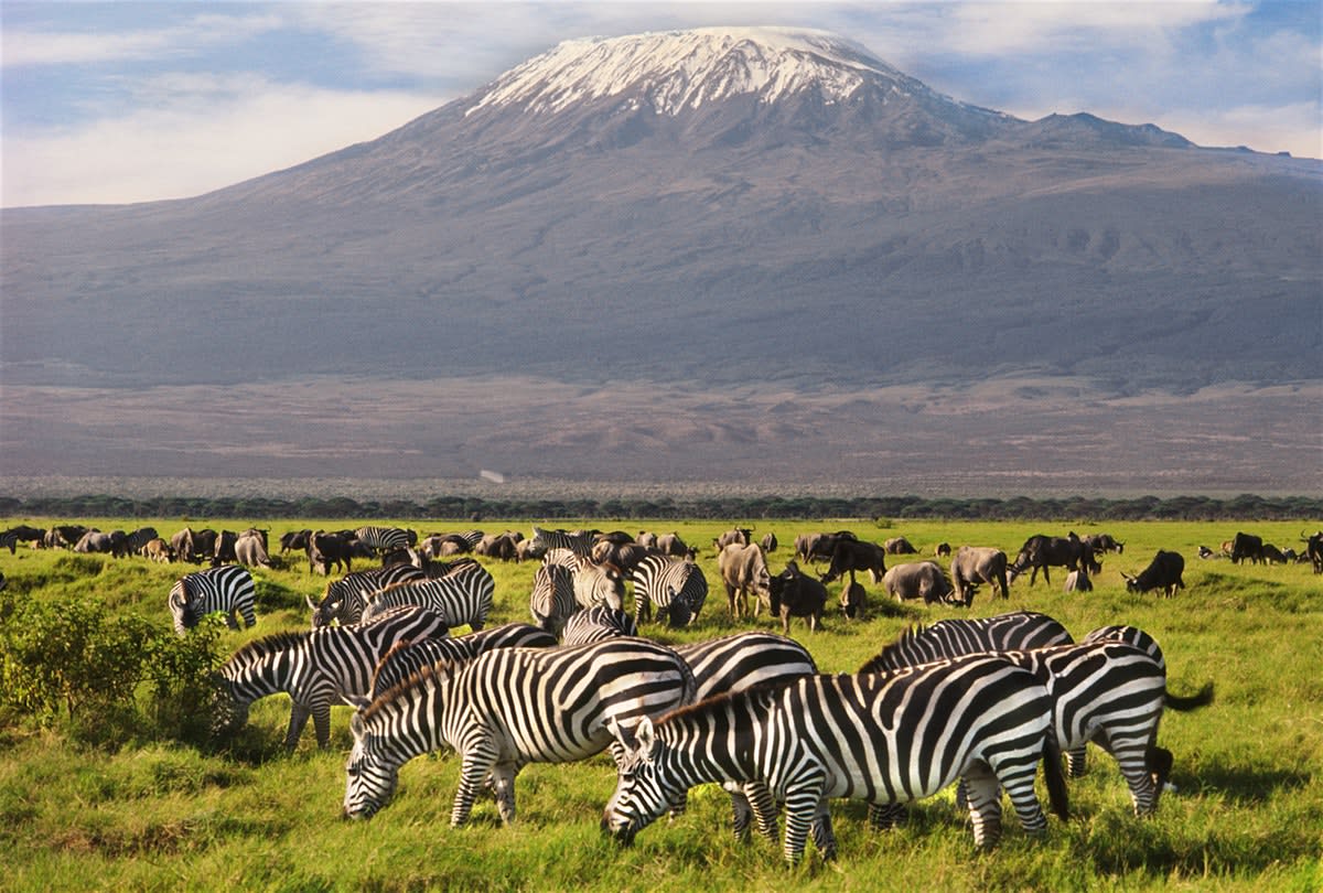 Elephants, Lakes & Big Five Adventure