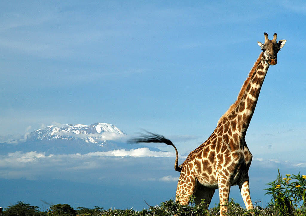 Ultimate Tanzania: Mountains, Crater & Zanzibar