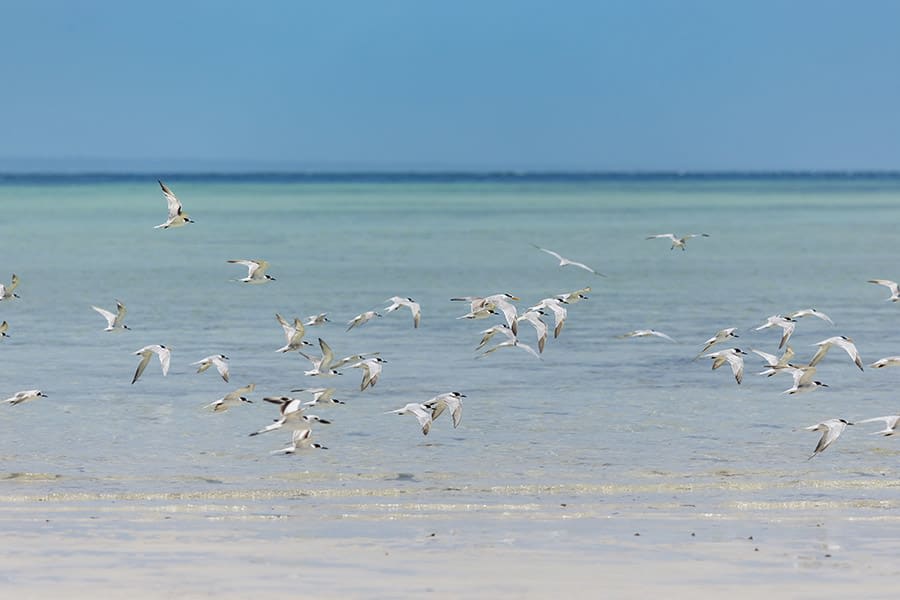 Vilanculos & Bazaruto Island Coastal Escape
