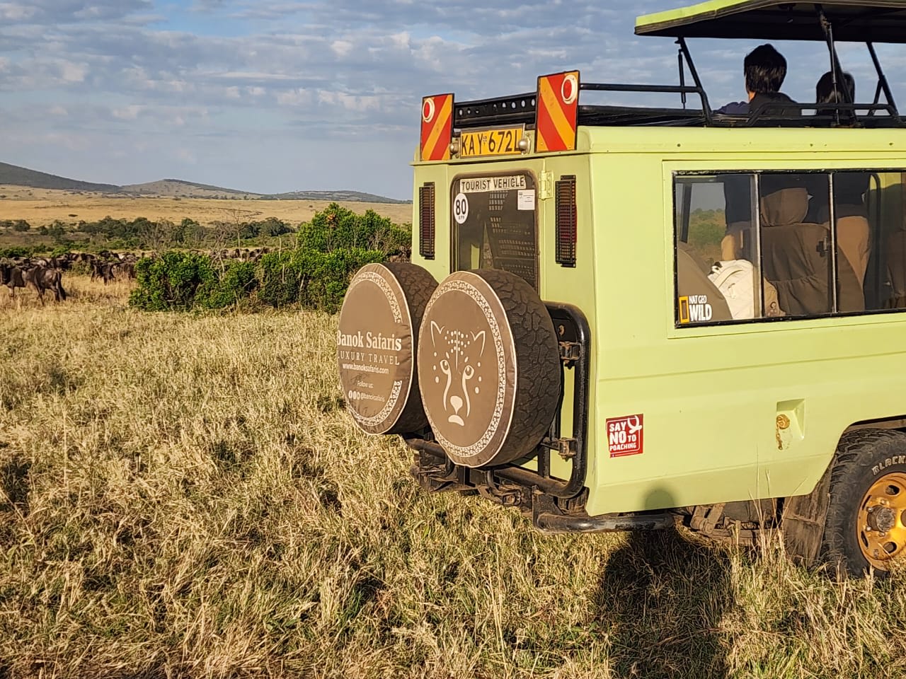 4-Day Masai Mara National Reserve