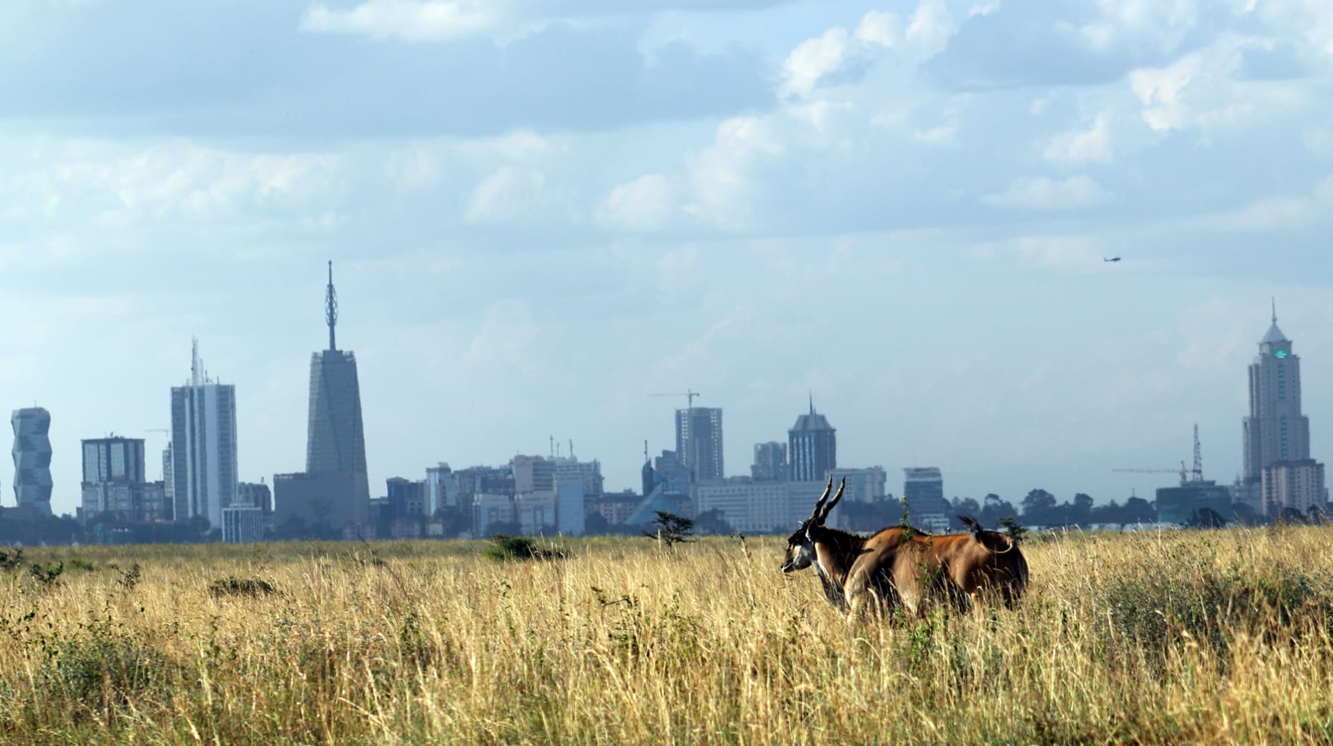 1-Day 1-Day Nairobi City Tour- Day Trip