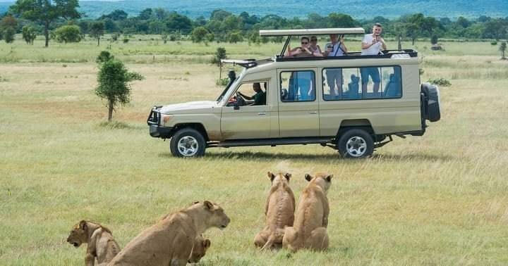3-Day Kenya Maasai Mara Budget Safari