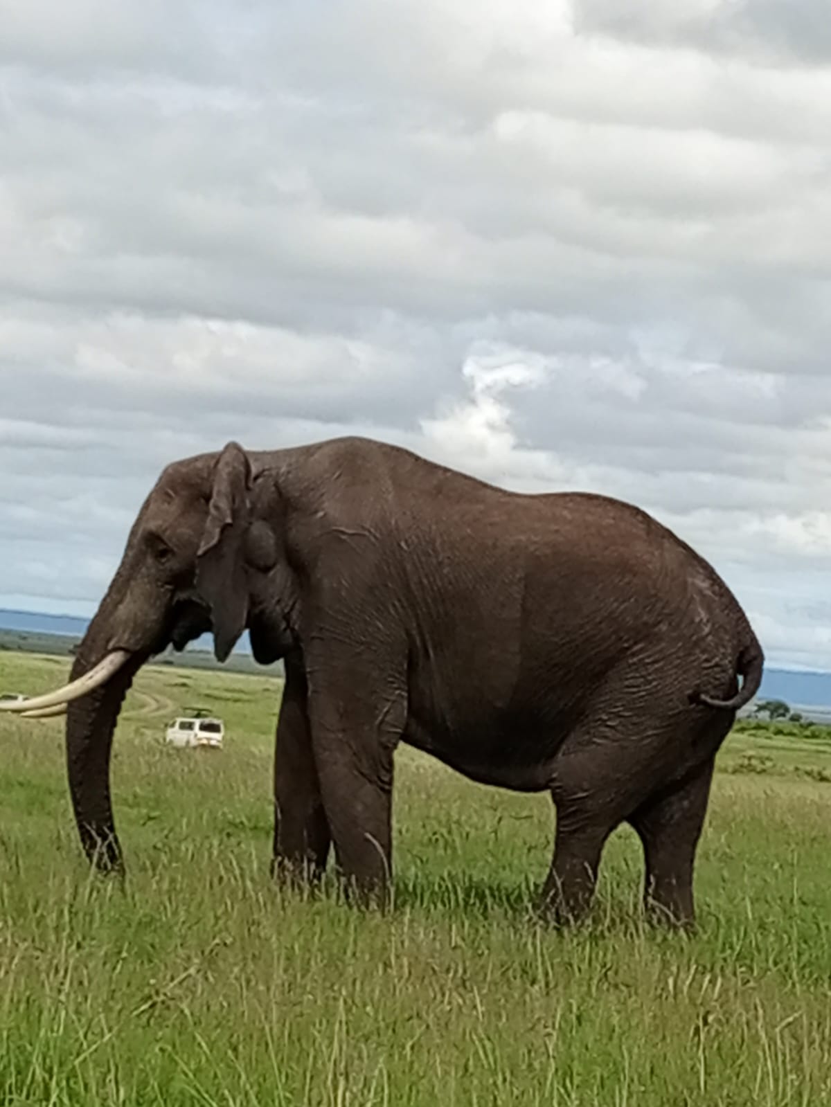 2-Day Red Elephants in Tsavo East National Park