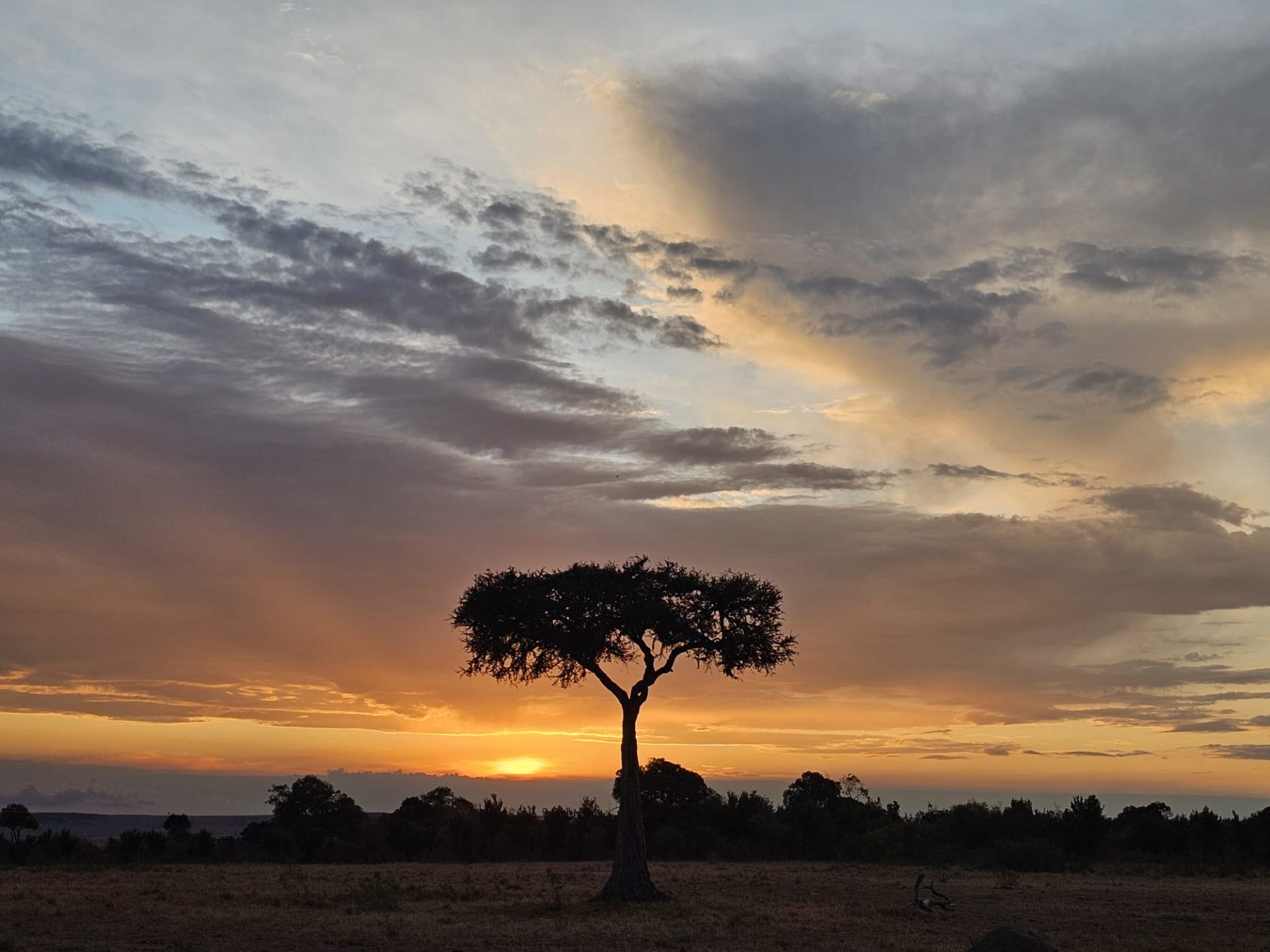 3-Day Samburu Fly-In Safari