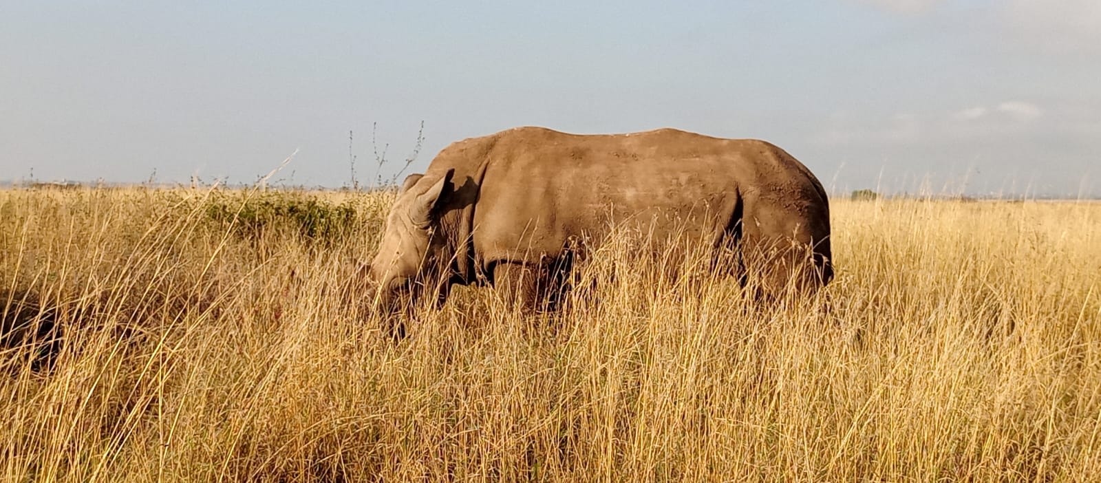 5-Day Amboseli with Tsavo East and West National Parks