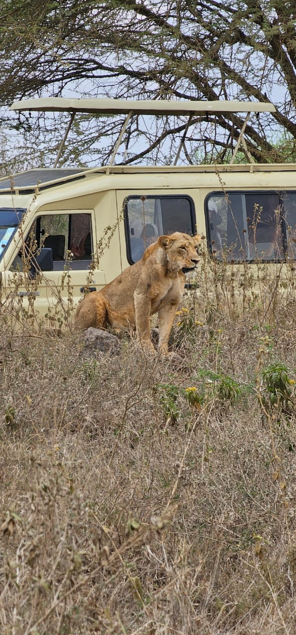 8-Day Gems of Kenya with Safari Rally Route Touch
