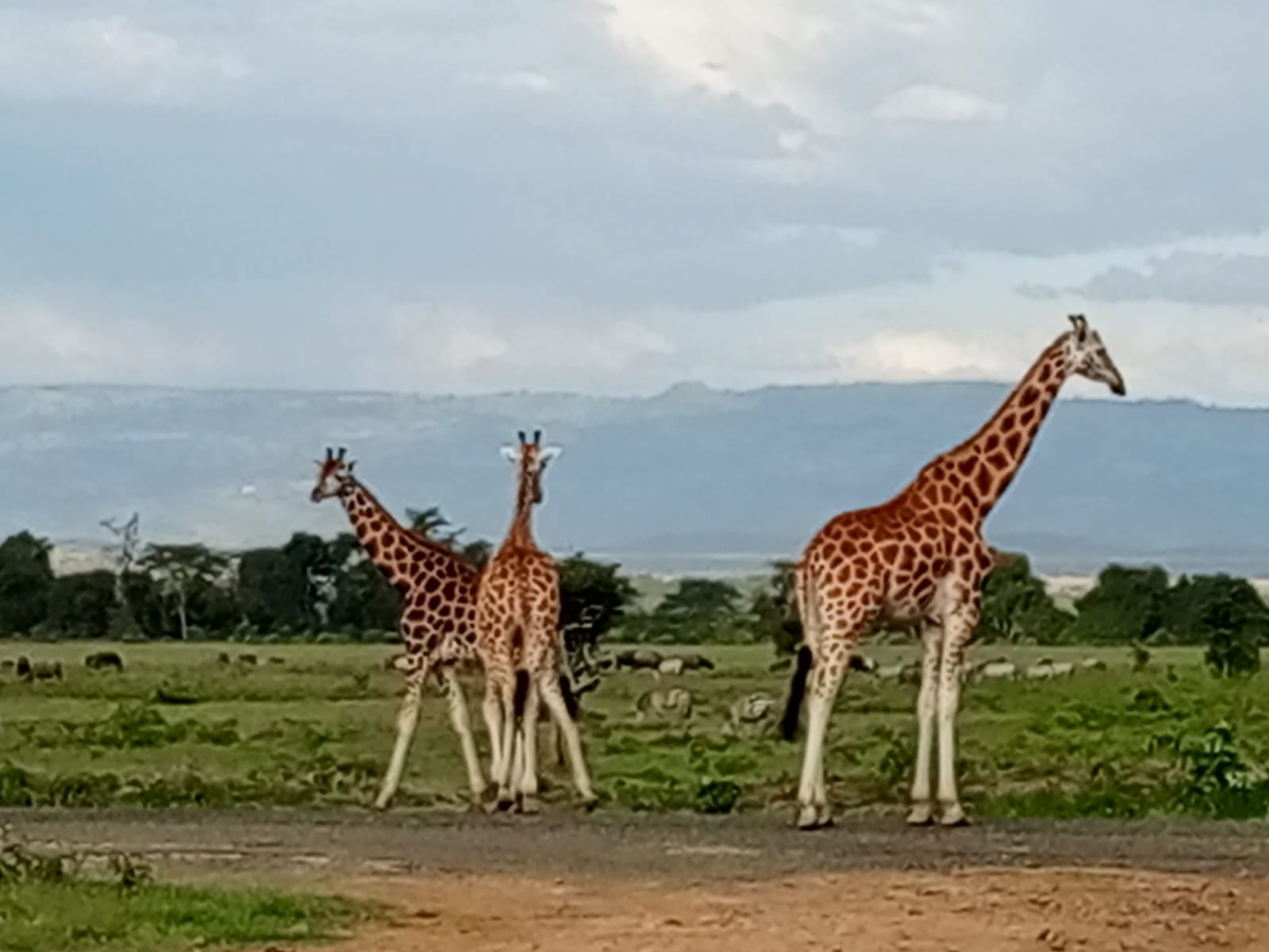 10-Day Kenya Honeymoon Safari – Diverse Destinations