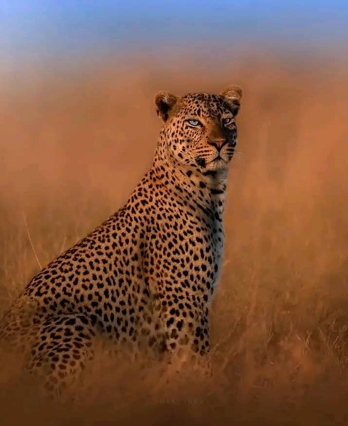 3-Day Masai Mara Private Safari