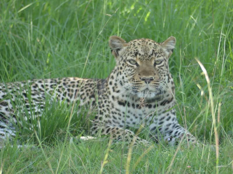 6-Day Uganda Tour
