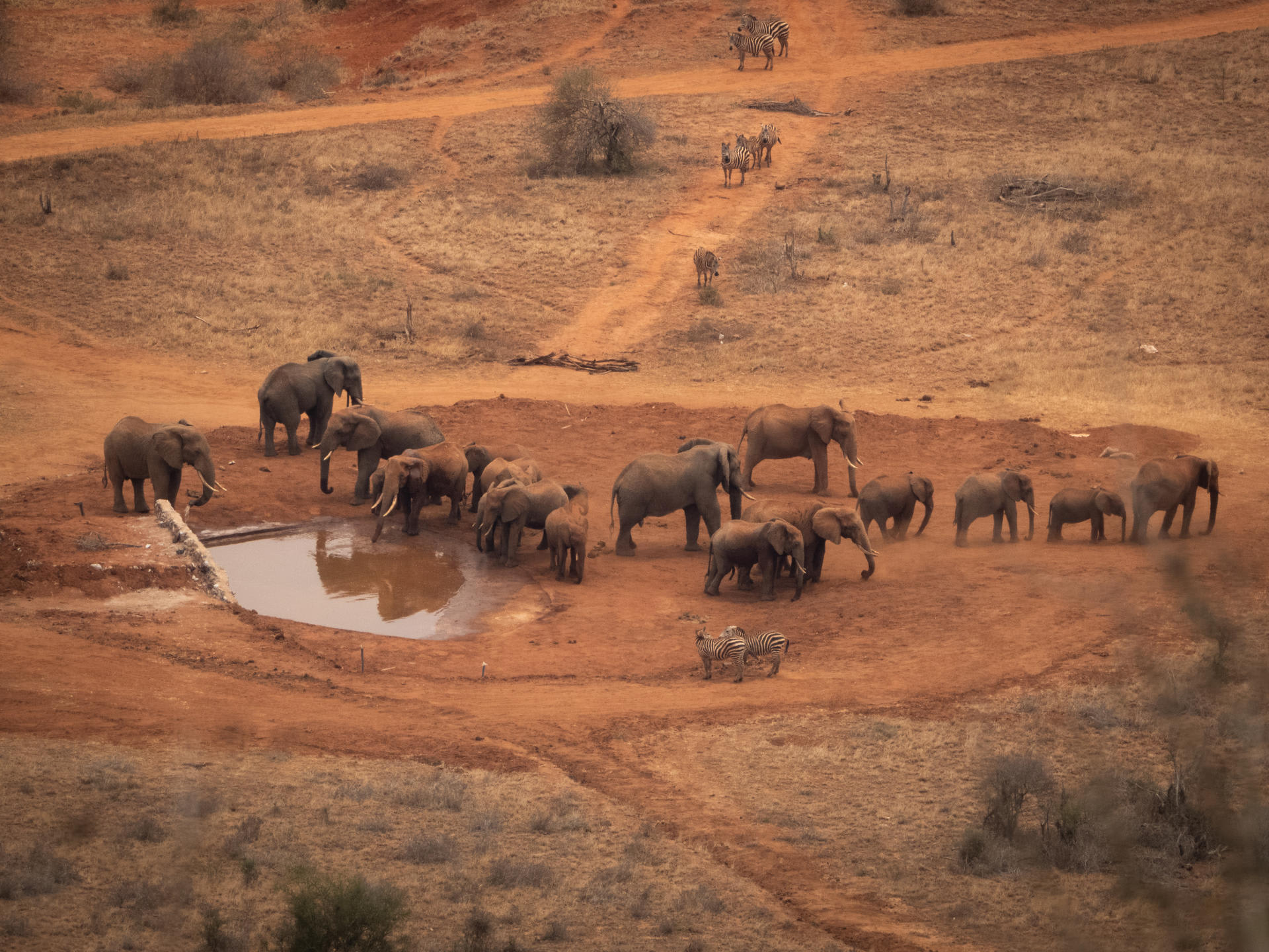 5-Day Amboseli and Tsavo West - Luxury safari