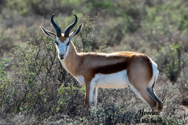 1-Day Mount Longonot Day Trip