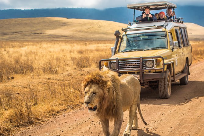 3-Day Fly-in Serengeti & Ngorongoro Safari from Zanzibar