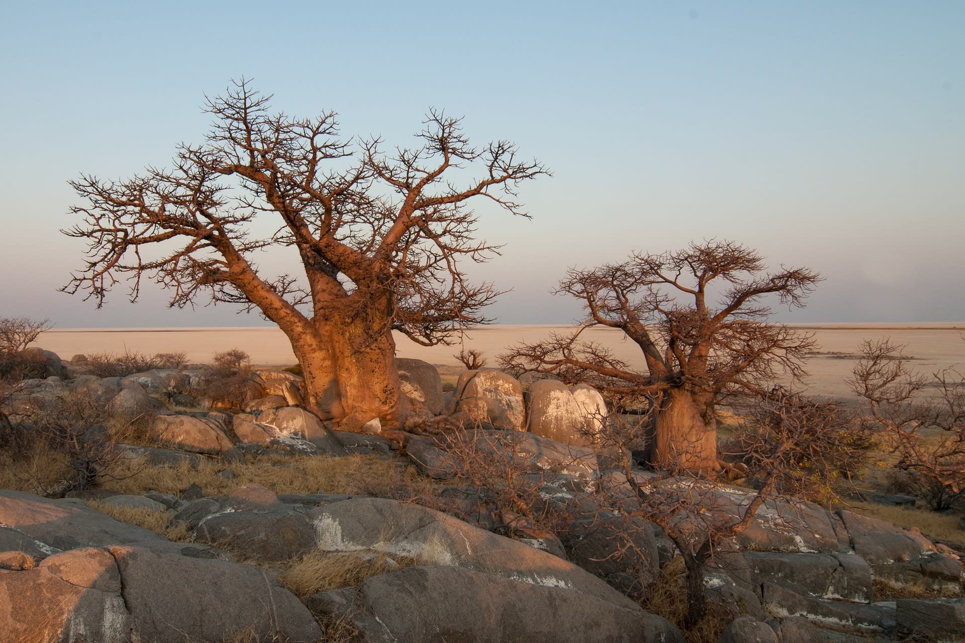 5-Day Tanzania Signature Wildlife Safari and Adventure