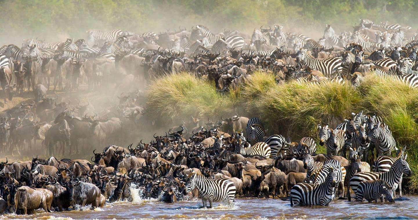 3-Day Fly-in Masai Mara Safari to Exclusive Camp