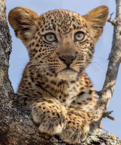 7-Day Mid-Luxury Epic Adventure (3 Nights Serengeti)