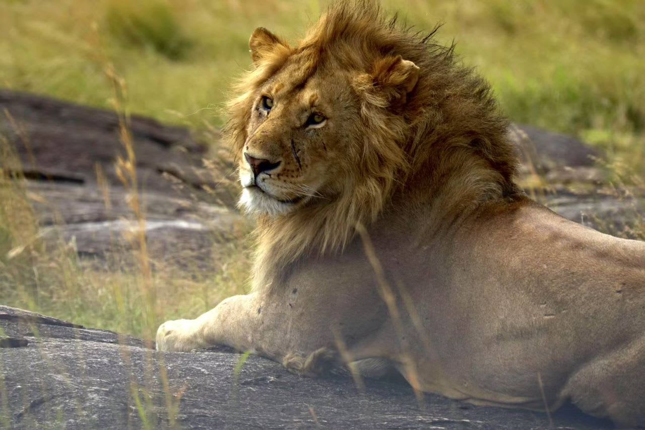 6-Day Tarangire, Serengeti, Ngorongoro Crater