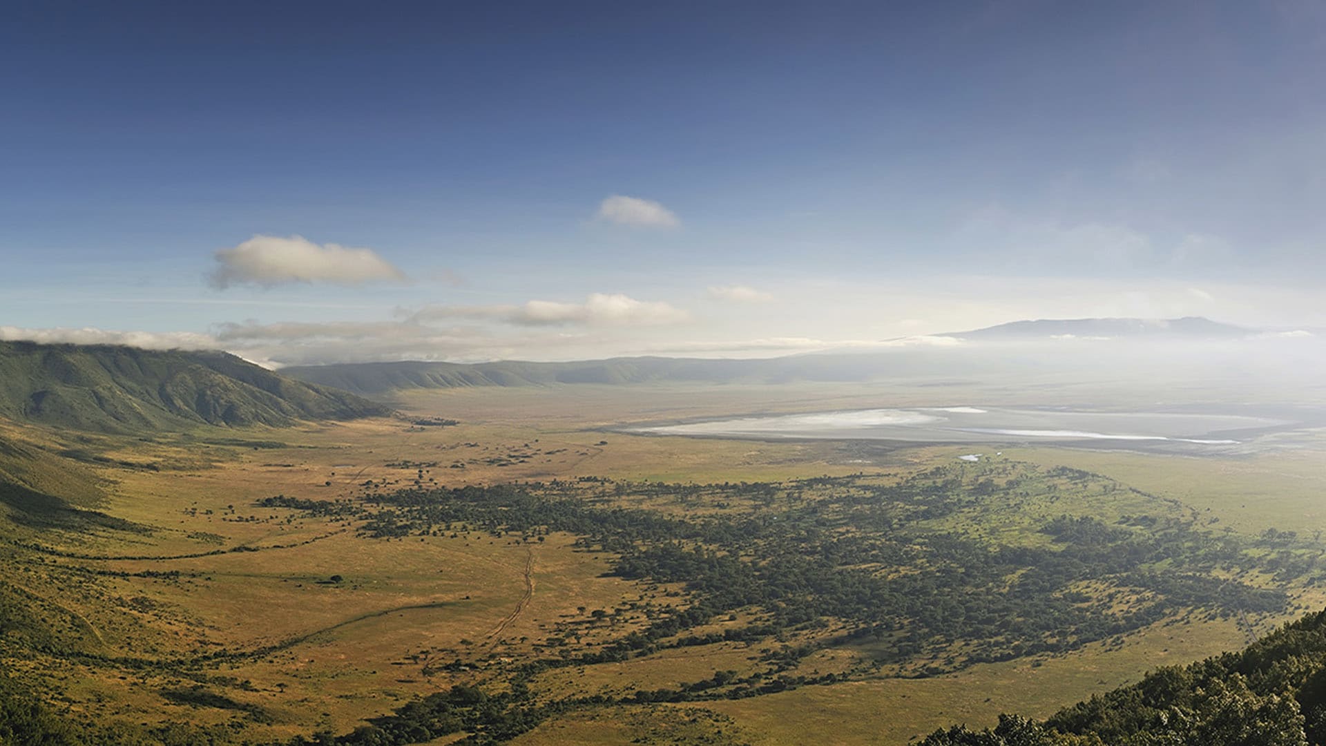 1-Day Group Joining Ngrongoro Crater Safari