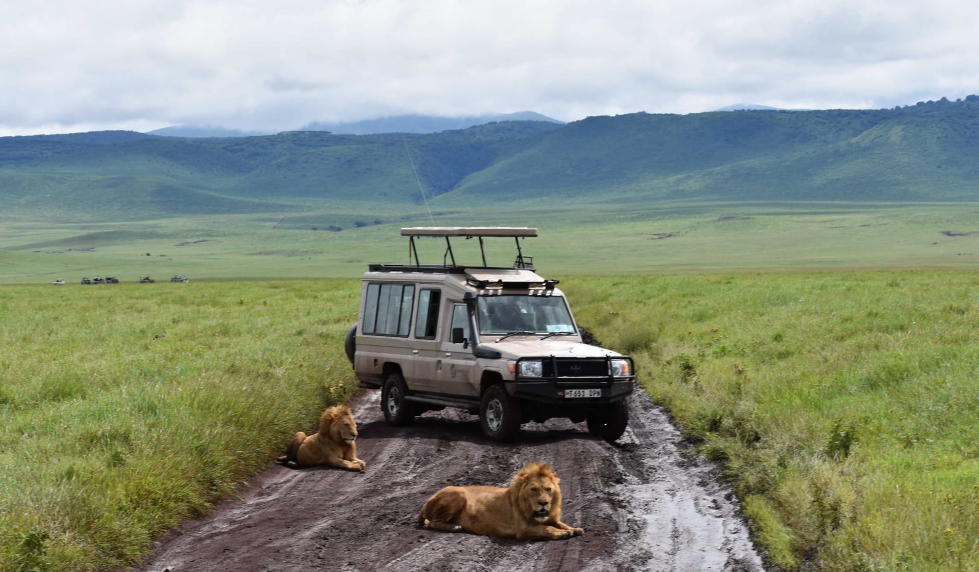 2-Day Fly-in Safari to Serengeti and Ngorongoro