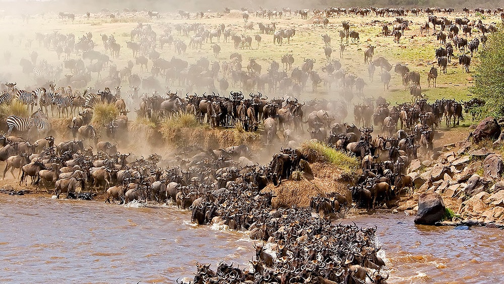 3-Day Fly-in Serengeti and Ngorongoro Crater Safari
