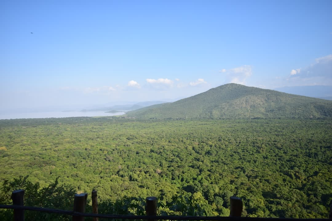 Arba Minch