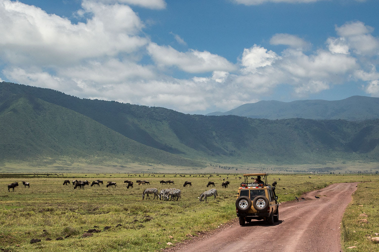 3-Day Serengeti & Ngorongoro Crater Fly-in, Fly-out Safari