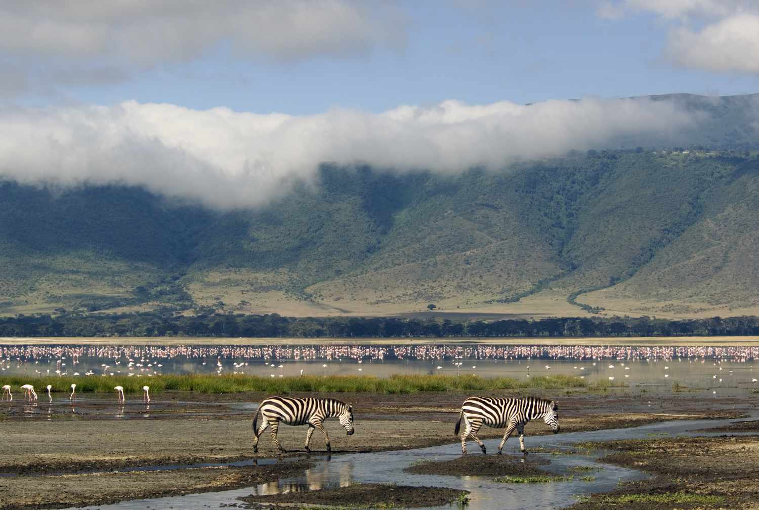 8-Day Serengeti Great Migration Safari