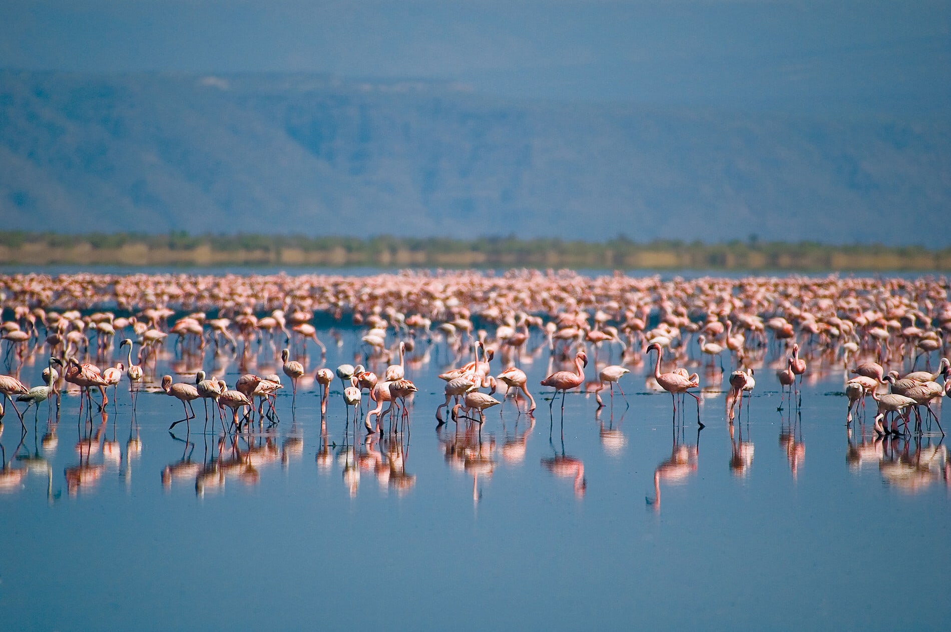 5-Day Tanzania Cultural & Adventure Experience