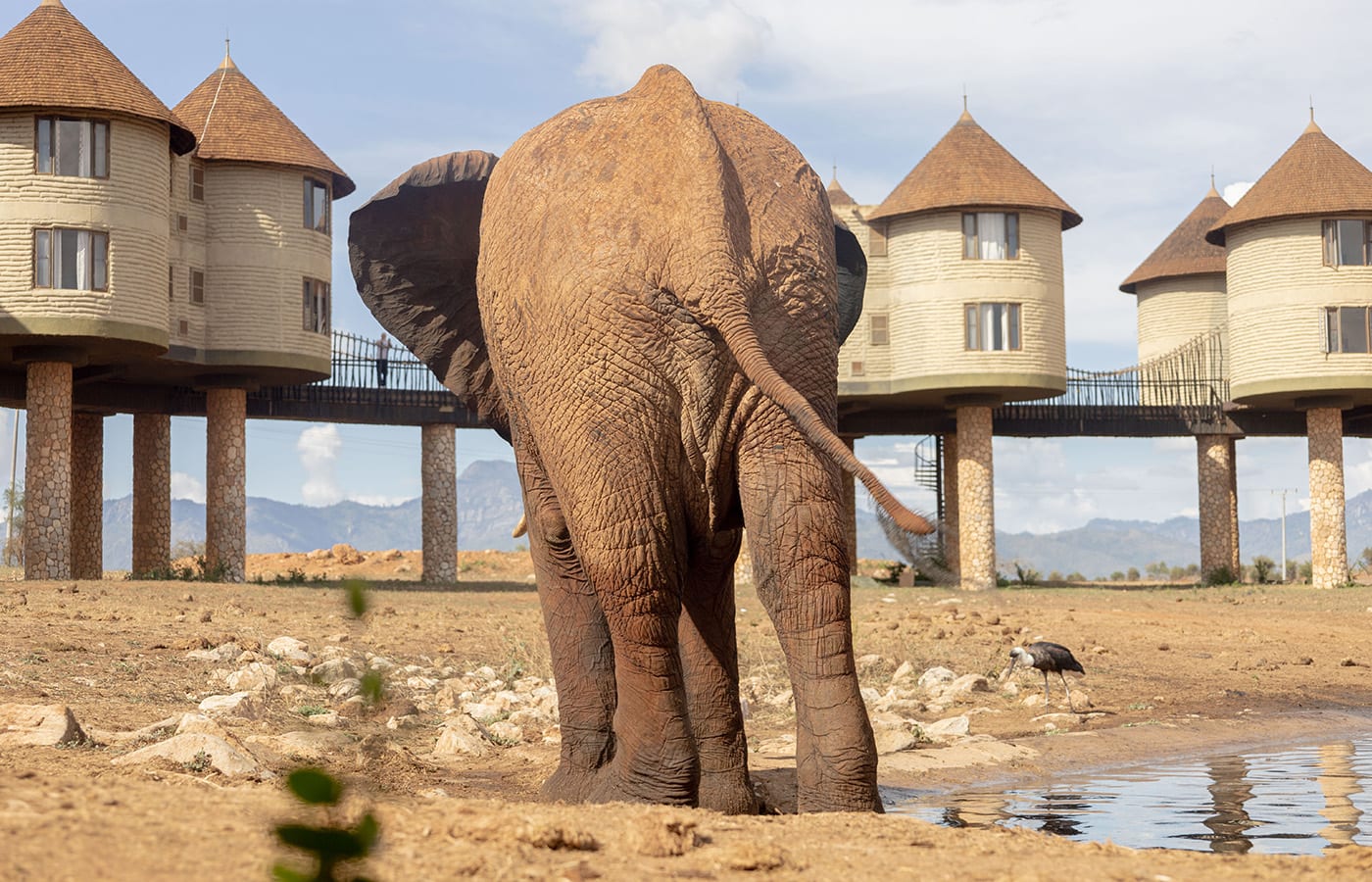 3-Day Salt Lick Safari Lodge Experience — With SGR Madaraka Passenger Service