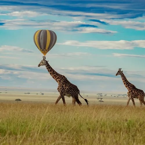 4-Day Serengeti Balloon & Game Drive-Fly over the Wild
