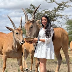 1-Day Serval Wildlife Sanctuary Experience