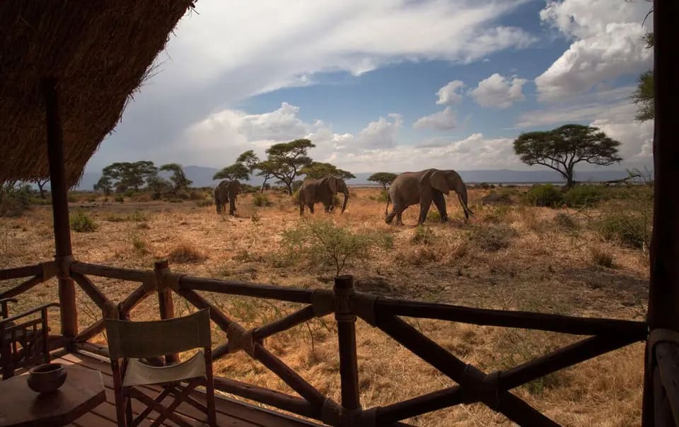 3-Day Tarangire Safari – Elephant Kingdom Experience