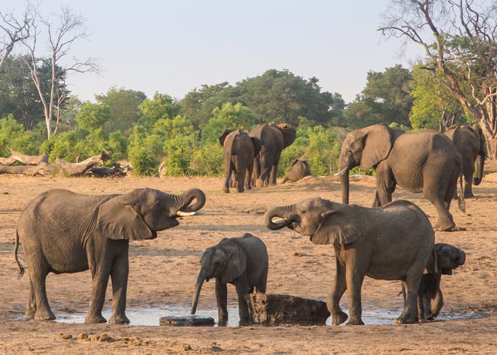 8-Day Victoria Falls, Chobe National Park and Okavango Delta Safari