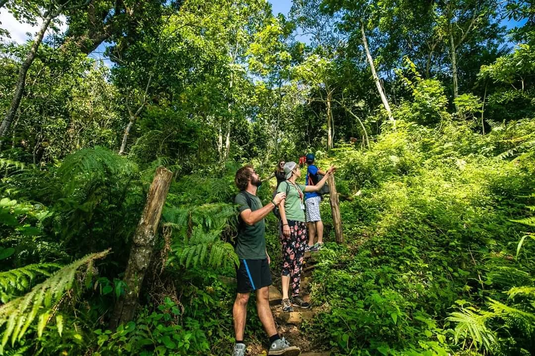 5-Day Authentic Tanzania Experience – Wildlife, Culture & Nature