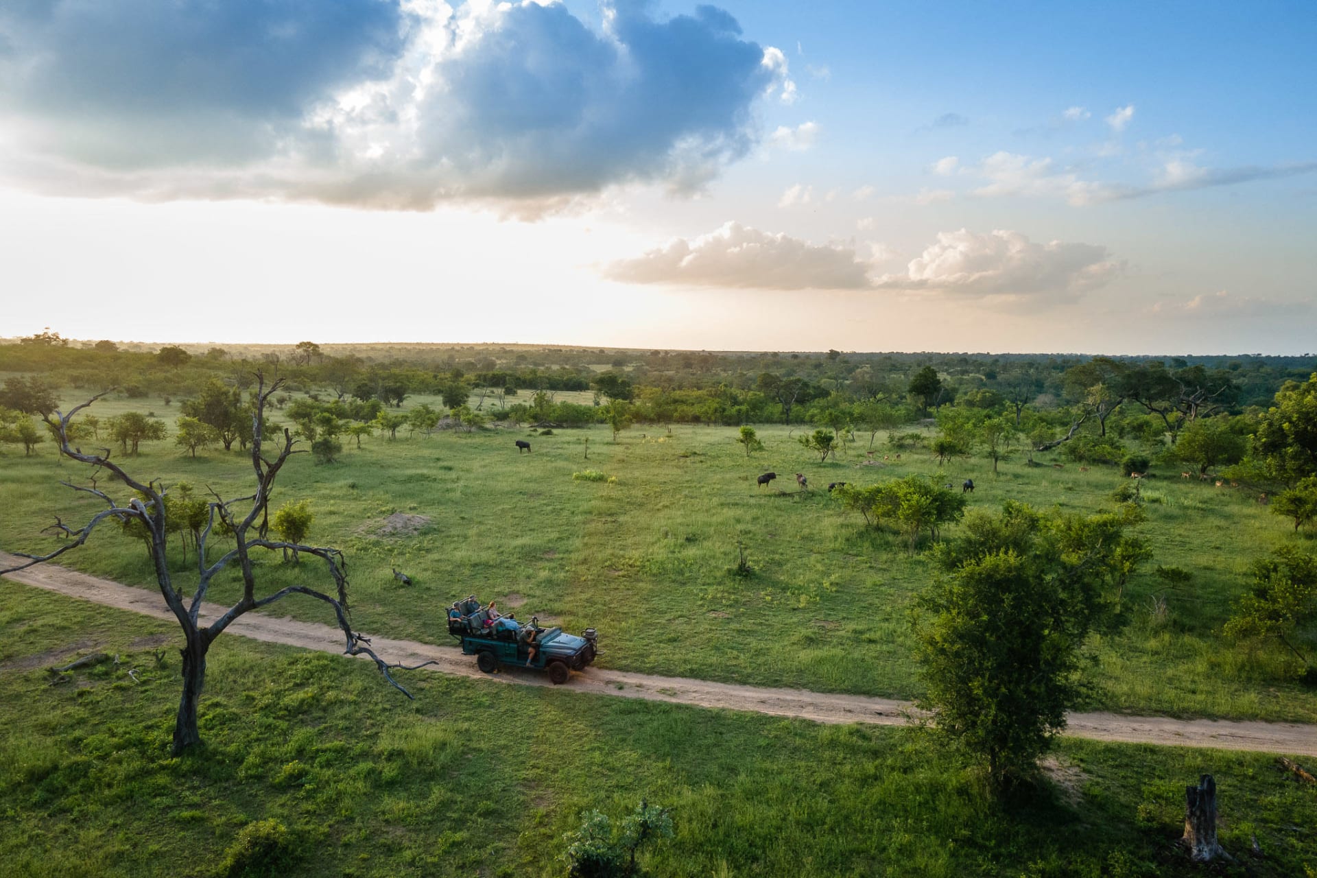 6-Day Kruger National Park - Victoria Falls Budget Safari