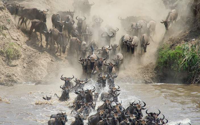 5-Day Great Migration Safari – Serengeti Adventure