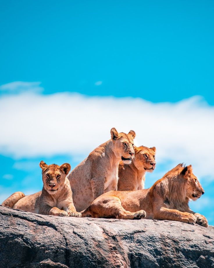 5-Day In the Heart of the Wild